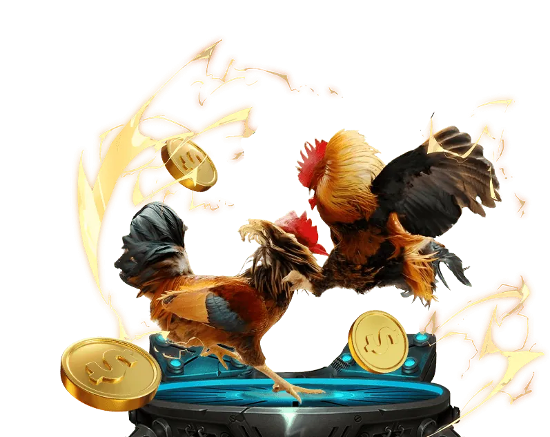 Người chơi đang cân nhắc lựa chọn nền tảng cá cược đá gà trực tuyến uy tín